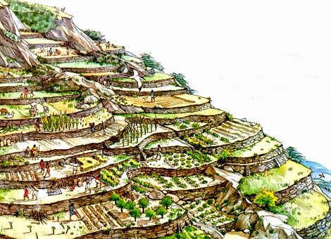 Gospodarka rolna u Inków - tarasy